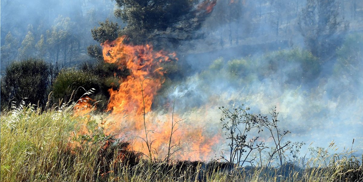 La Tunisie brûle – Beni Khalled : Deuxième incendie en quelques jours à l’Oued Ouhichi