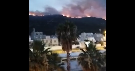 Tunisie – Incendie de Borj Cedria : Le feu atteint Hammam Lif et menace les maisons des riverains