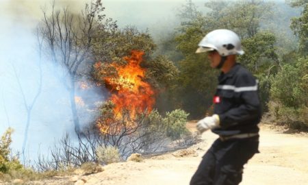 Protection civile:  66 extinctions d’incendie et 110 opérations de secours