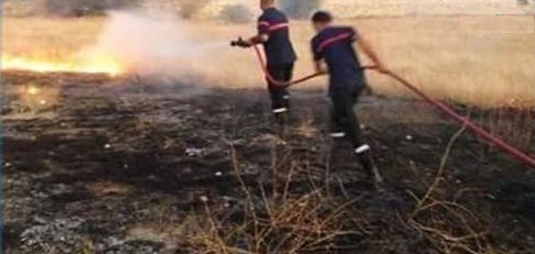 Tunisie – Gaafour : Un incendie près de la voie ferrée maîtrisé