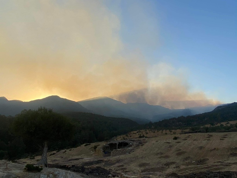 Hammamet: Maîtrise de l’incendie déclaré au mont Lahirech [Audio+Photos]
