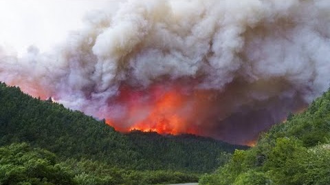 La Tunisie brûle : Ouverture d’une enquête après la découverte de traces de carburants dans les foyers d’incendie