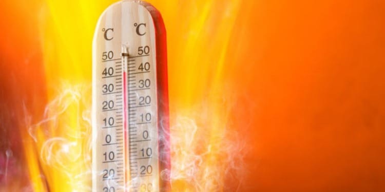 Un record de températures à Djerba