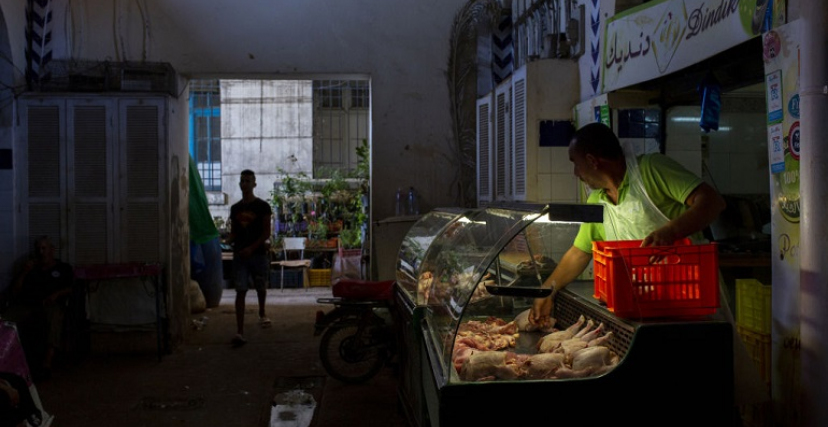 Qui veut priver les tunisiens de manger des volailles ?