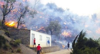 Tunisie – Jendouba : Arrestation d’un jeune homme qui a incendie une forêt à Aïn Draham