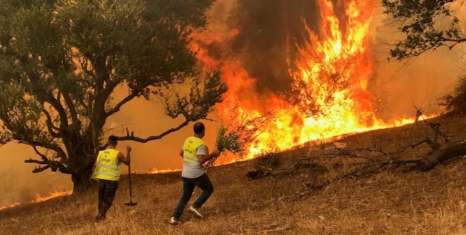 Algérie : 51 incendies en 24 heures et la gendarmerie enquête !