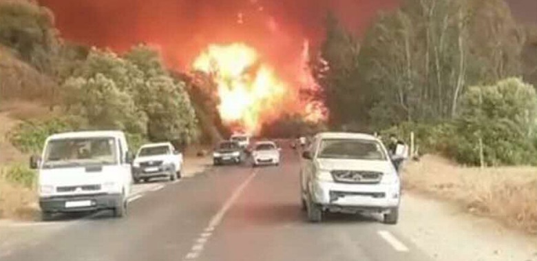 Algérie : Arrestation de 13 suspects dans l’enquête sur les incendies de forêts