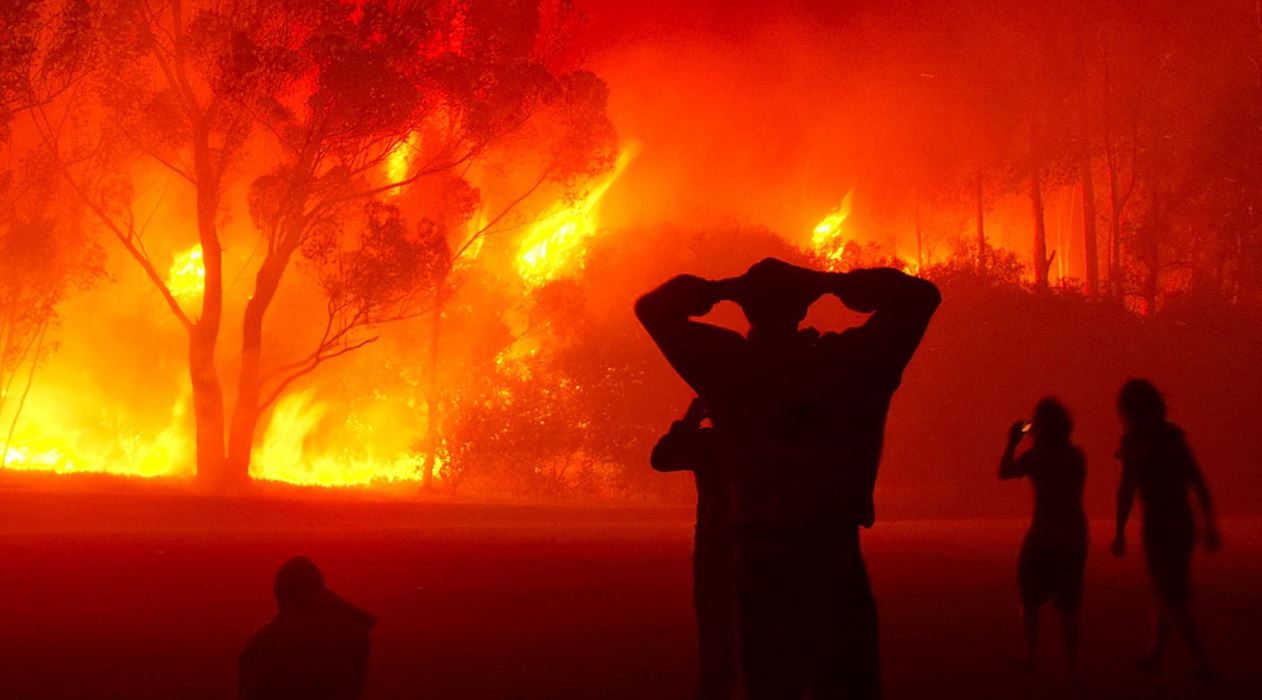 Incendies en Algérie: Le bilan s’élève à 38 victimes