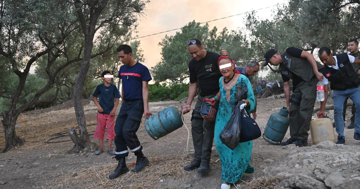 Tunisie – Évaluation des dégâts occasionnés par l’incendie du Djebel Bargou