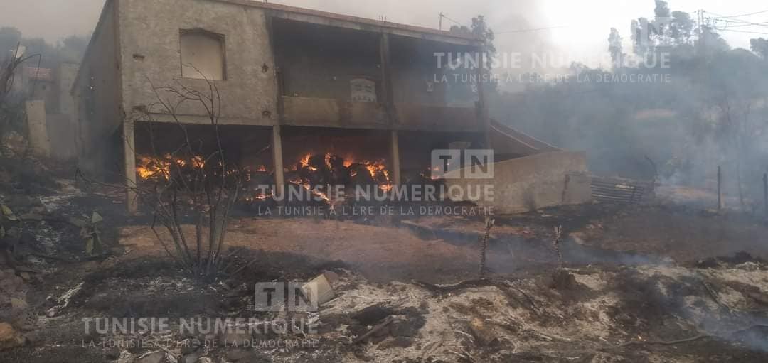 Tabarka: Un incendie se déclare au Mont Brirem [Photos]