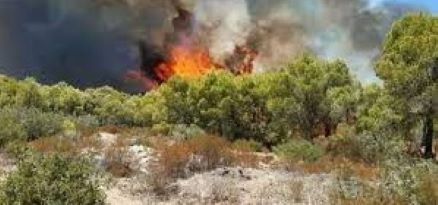Tunisie – Reprise de l’incendie au Djebel Bayadha à Tabarka