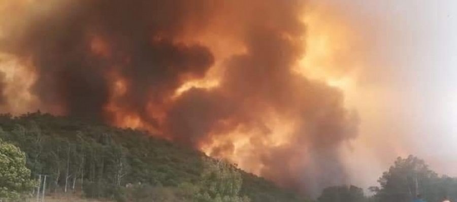 Algérie : 26 morts dans des incendies de forêt