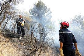 Algérie: Tous les incendies ont été éteints