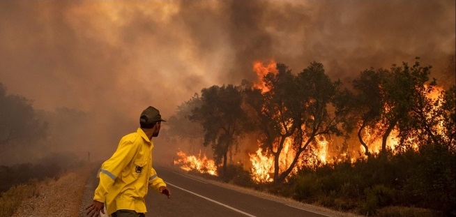Maroc : 3 pompiers périssent dans un incendie de forêt