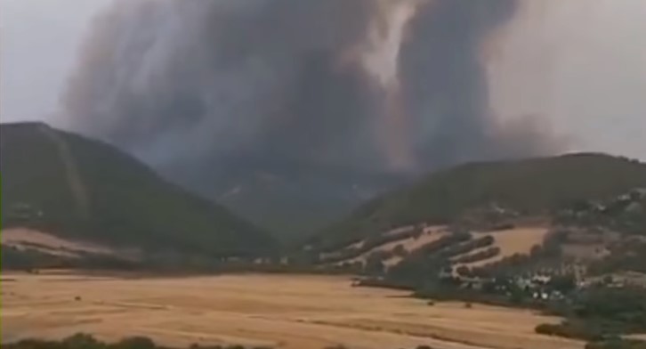 Tunisie : Vidéo : Six incendies se déclarent de façon simultanée dans les forêts de Nefza