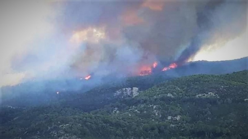 La Tunisie brûle : De grandes difficultés pour maîtriser l’incendie du Djebel Sidi Zid à Zaghouan