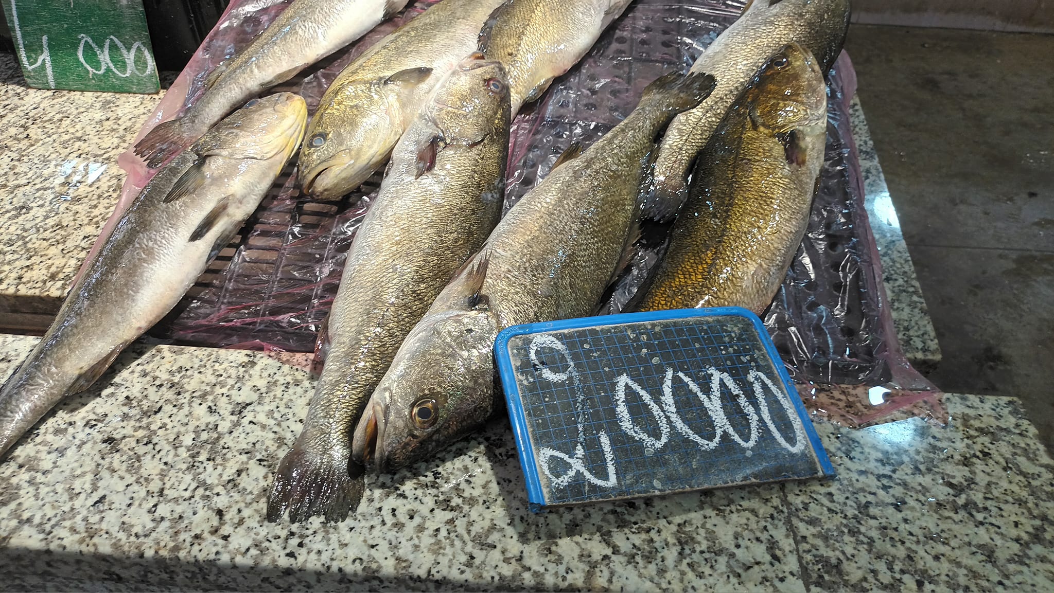 Prix ​​des légumes, fruits, viandes et poissons au marché de Hammam Sousse (photos)