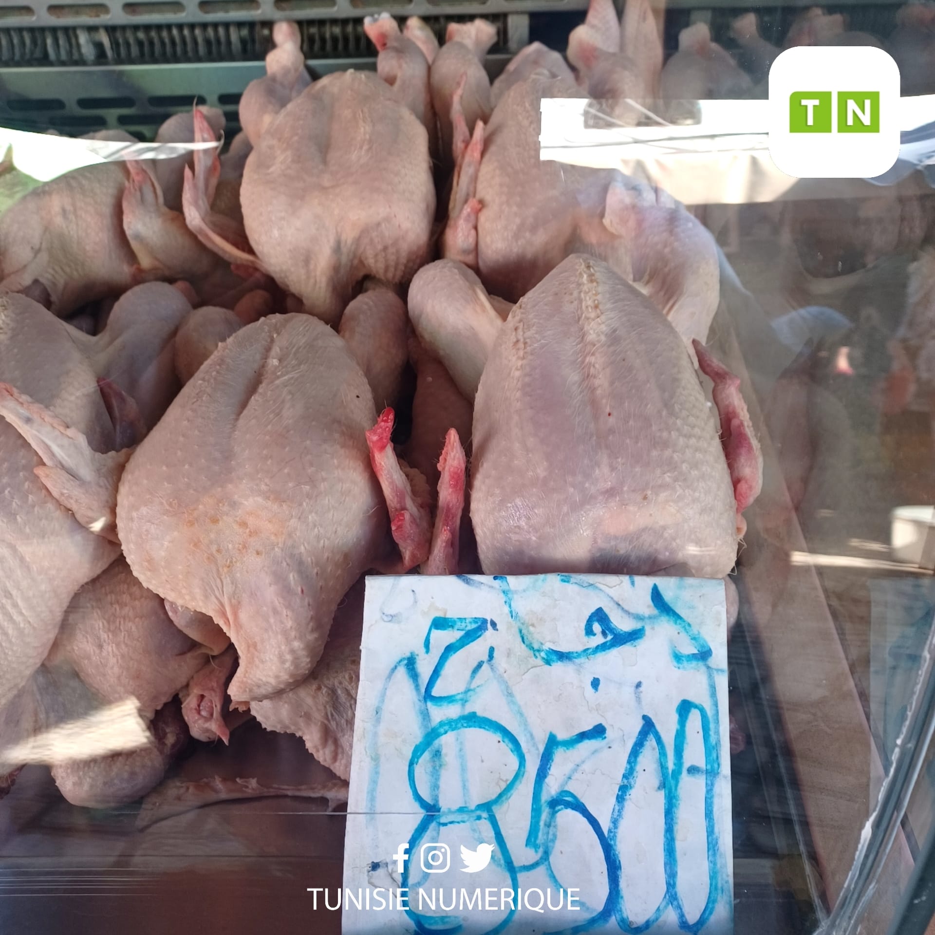 Prix des légumes et fruits au marché de Beja (Photos)