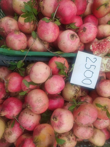 Nabeul: Prix ​​des légumes et fruits au marché de Beni Khalled  (Photos)