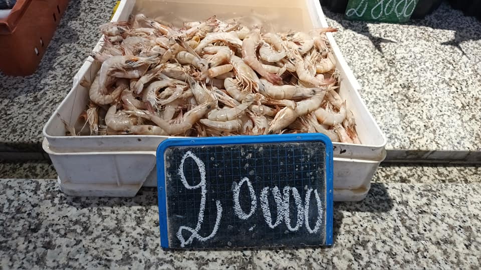 Prix ​​de poissons et fruits de mer au marché de Sousse (photos)