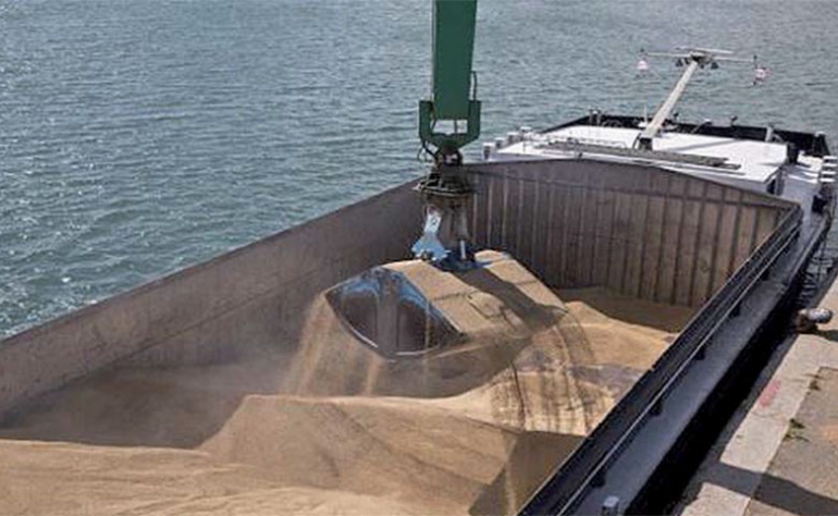 27 500 tonnes de blé ukrainien sont en route vers la Tunisie