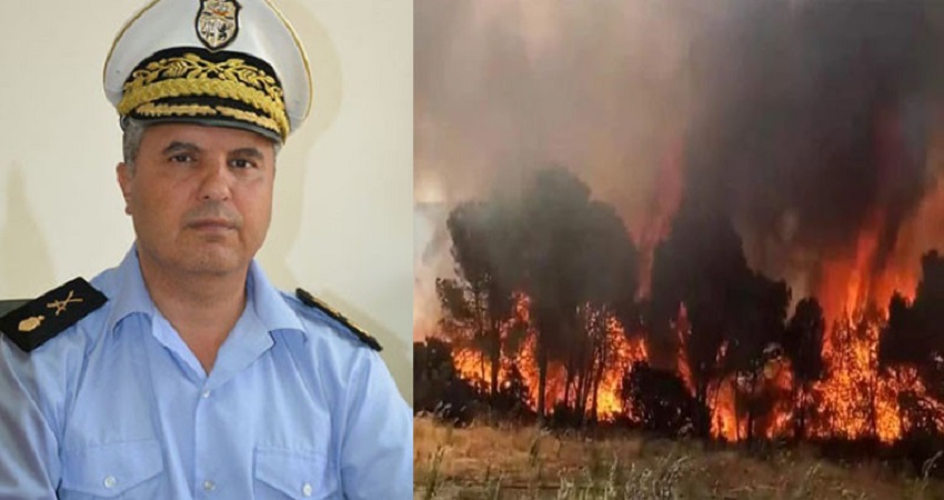 Moez Triaa: Les incendies ont détruit 5900 ha de la superficie forestière
