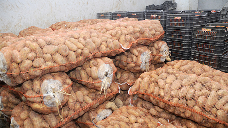 Nabeul : le décret n°14 frappe, 3,5 tonnes de pommes de terre récupérées