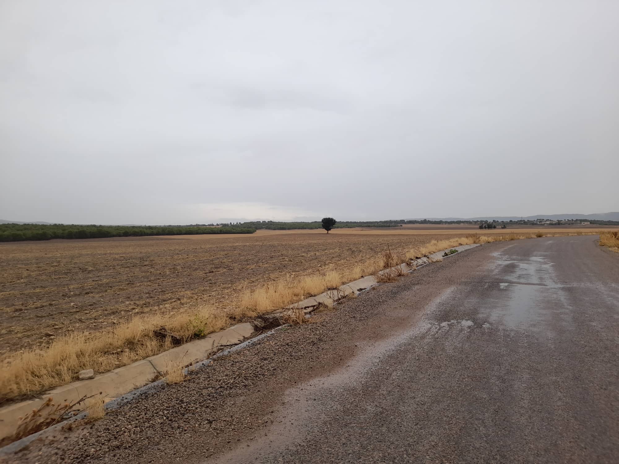 Le ministère des domaines de l’Etat récupère 4 terrains domaniaux agricoles de 63 hectares à Siliana