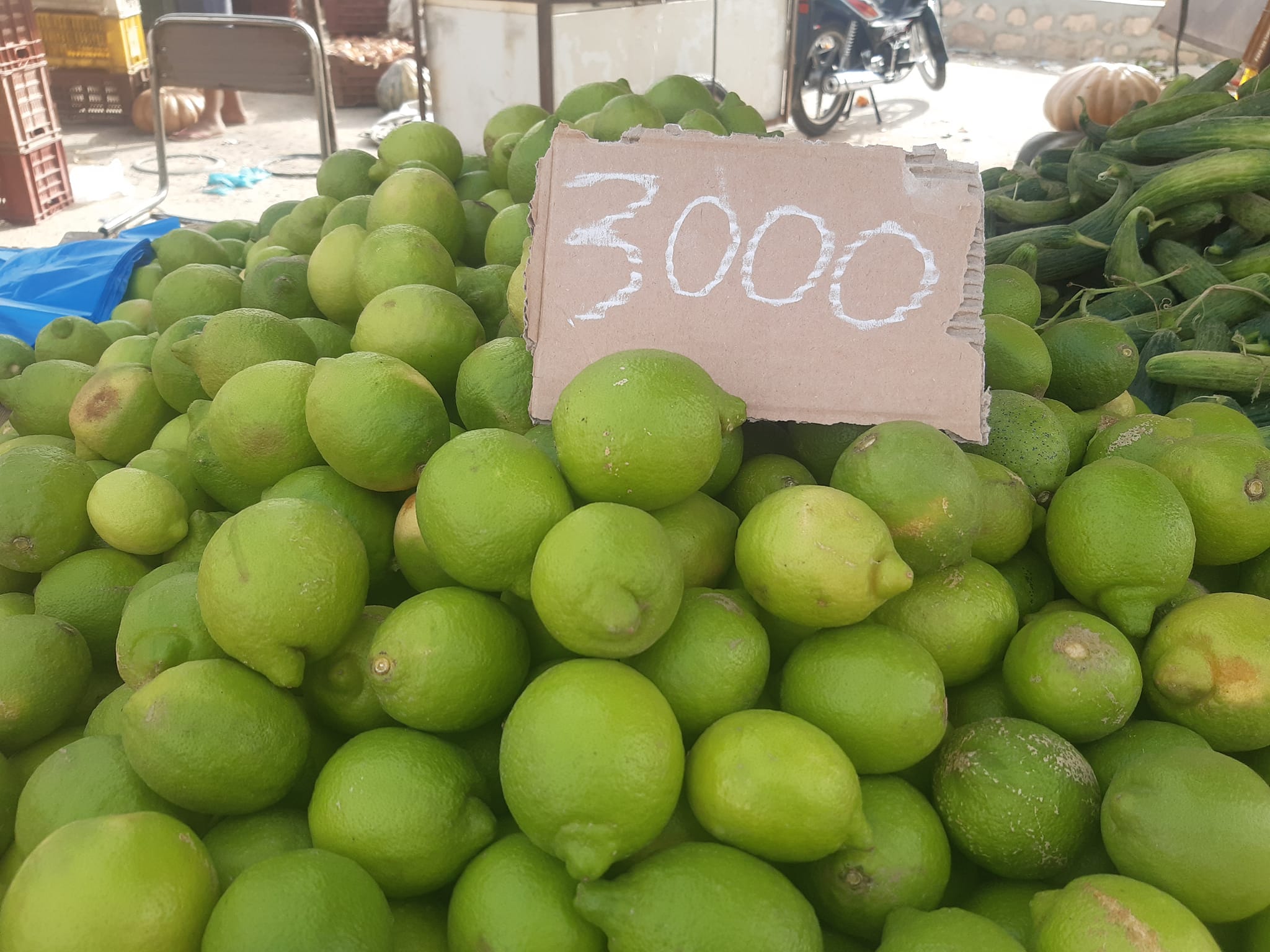 Gabes: Prix ​​des légumes et fruits (Photos)