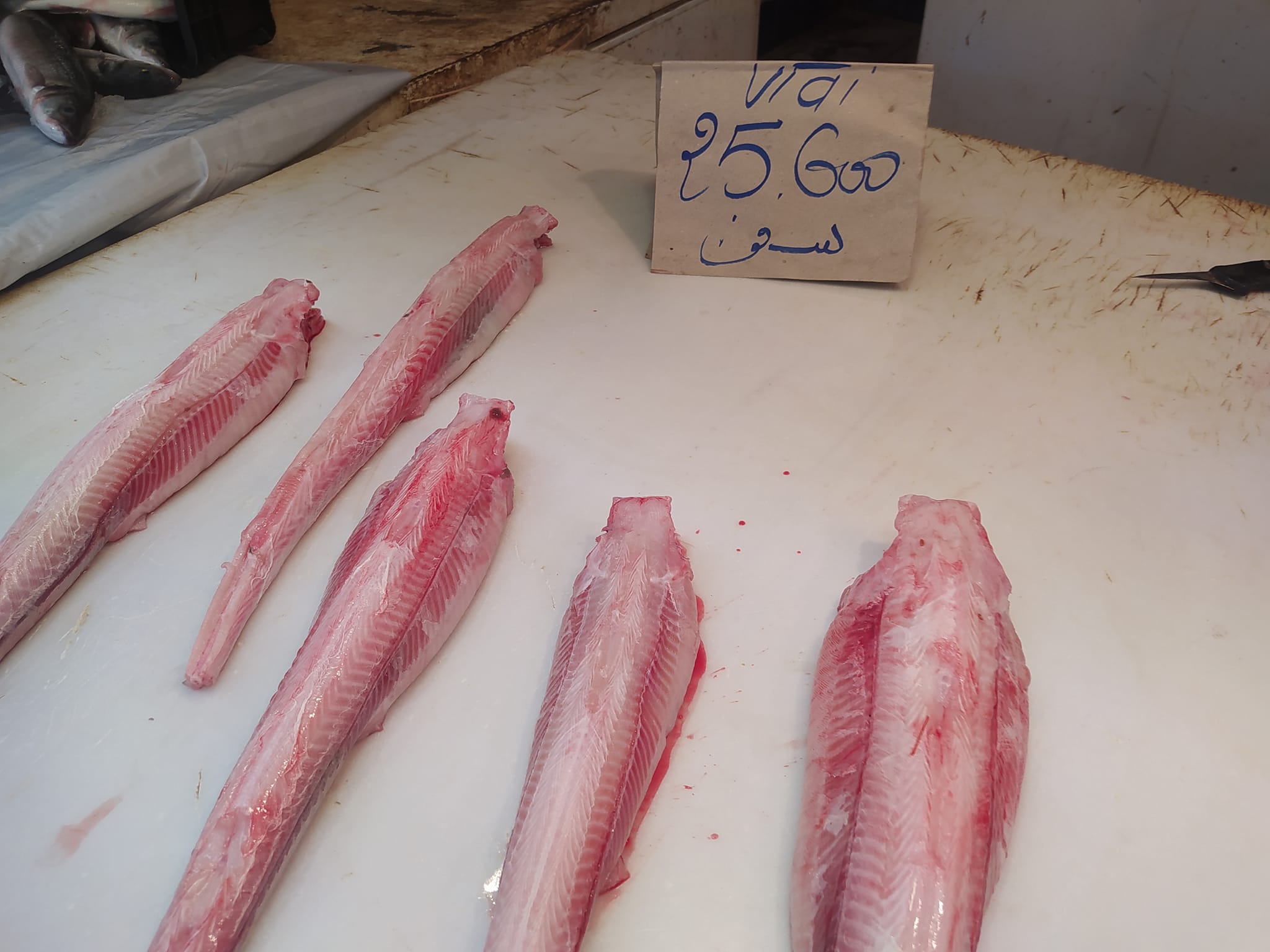 Nabeul: Prix ​​de poissons au marché municipal (Photos)
