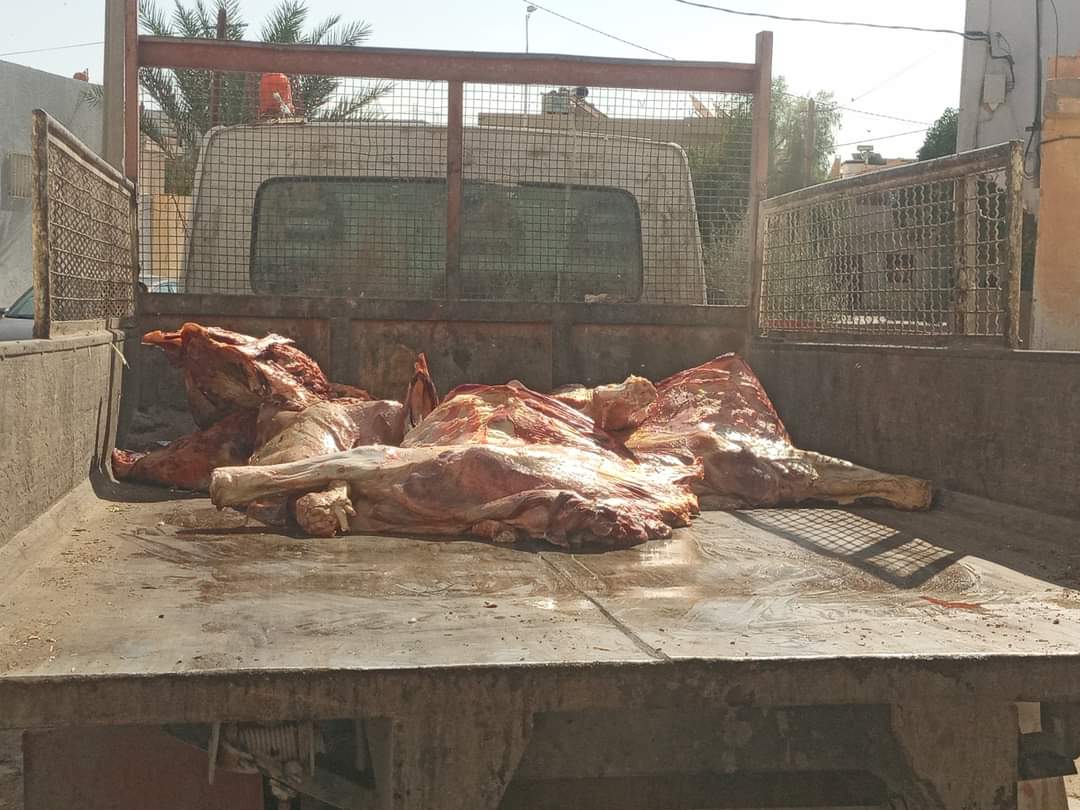 Gafsa: Saisie de 320 Kg de viande avariée