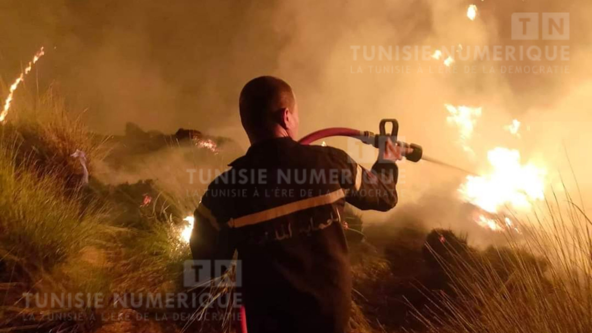 Ain Draham: Un incendie s’est déclaré près de l’Institut khemir