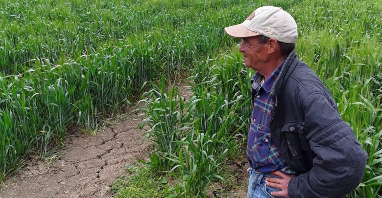 A cause de l’endettement, la Tunisie parmi les 20 pays les plus vulnérables au changement climatique