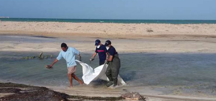 Tunisie – Mahdia : La mer rejette 15 cadavres de migrants en décomposition