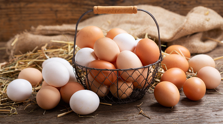 Wassim Boukhris: Les œufs sont disponibles en grande quantité sur les marchés