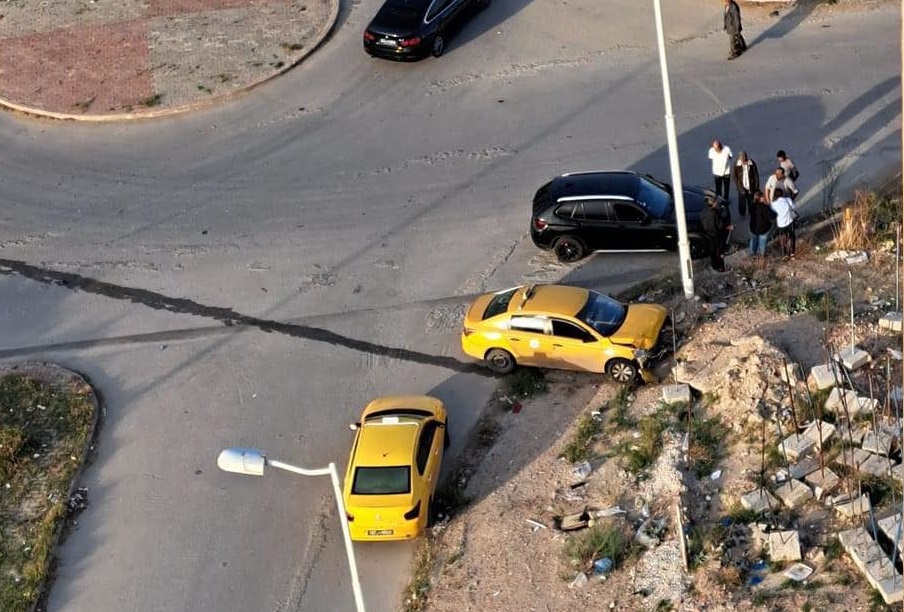 L’image du jour: Jardins de Carthage: Une jungle urbaine