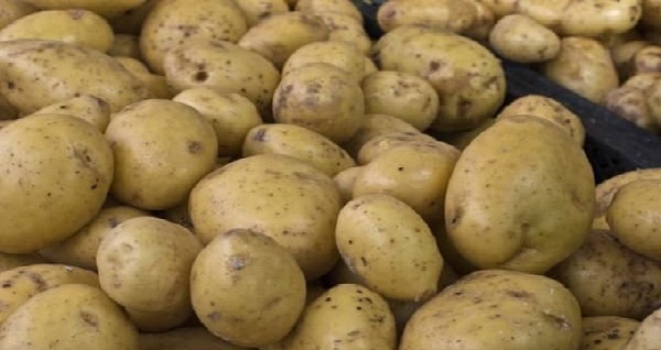 Tunisie – C’est pour cette raison que les pommes de terre se vendent à 2.200 DT