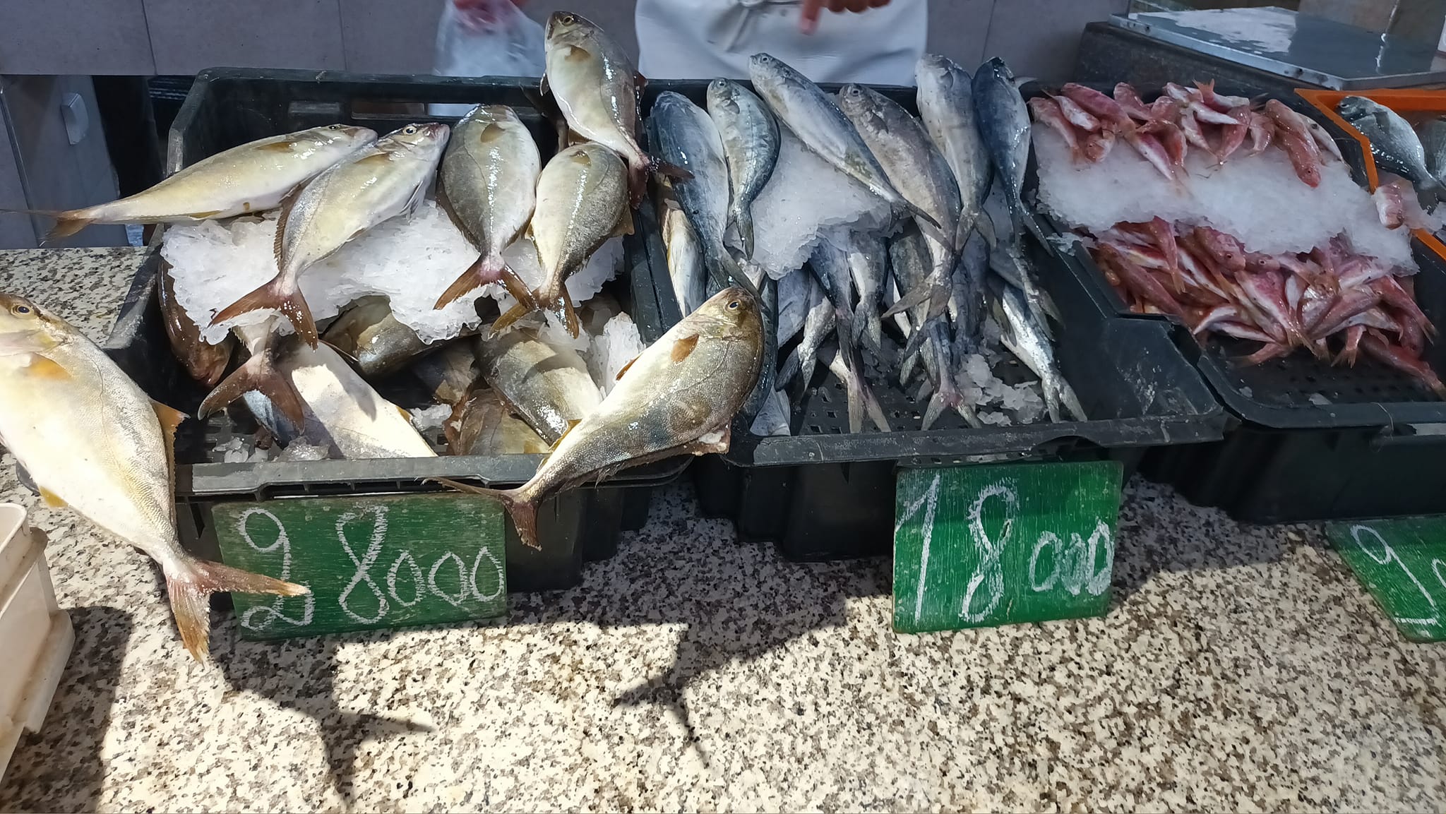 Tunisie – Vers une réduction des prix des poissons et fruits de mer ?