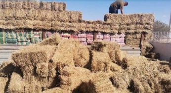Tunisie – Ben Guerdene : Saisie de plus de 6 tonnes de produits alimentaires subventionnés
