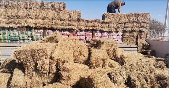 Tunisie – Ben Guerdene : Saisie de plus de 6 tonnes de produits alimentaires subventionnés