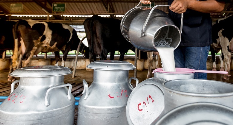 Tunisie – Kallabi : L’augmentation du prix du lait sera incontournable