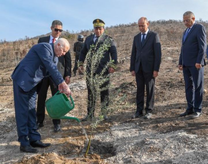 Fête nationale de l’arbre: Kais Saïed se rend au Mont Boukornine pour planter un olivier