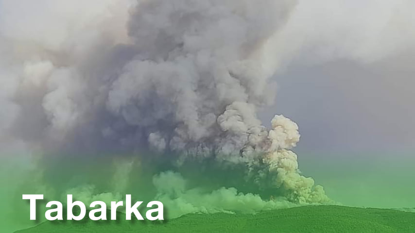 Incendies: Un concert musical, ce 18 août, pour Tabarka