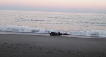 Tunisie – Bizerte : La garde maritime repêche deux cadavres de migrants