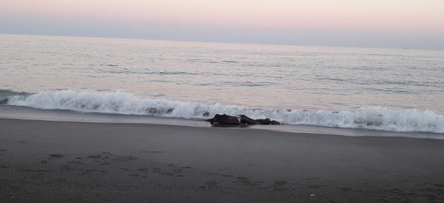 Tunisie – Bizerte : La garde maritime repêche deux cadavres de migrants