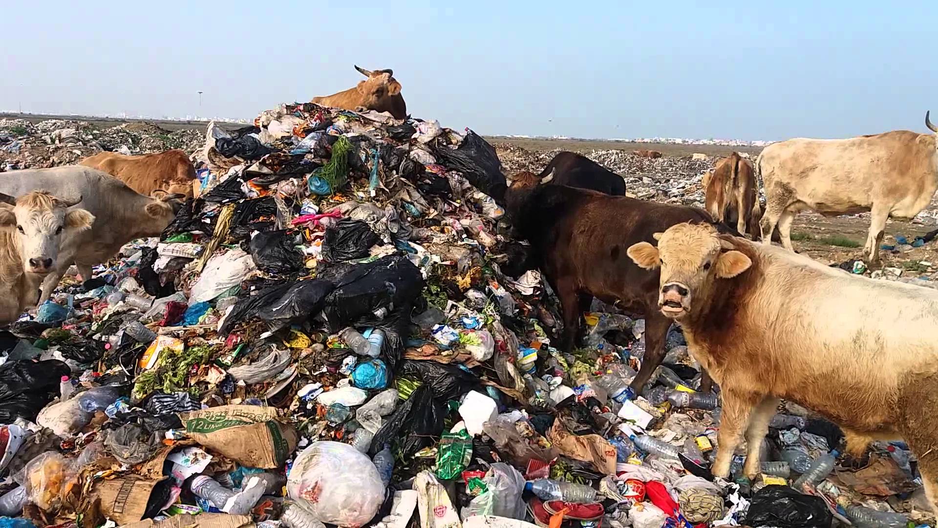 Après Sfax une autre catastrophe guette, cette fois dans le Grand-Tunis