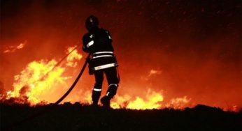 Tunisie – Tabarka : Nombreux renforts pour combattre un feu de forêt