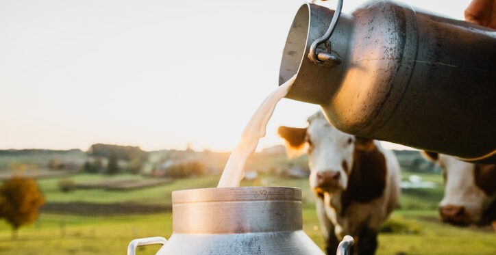 Tunisie – L’UTAP exige une augmentation de 600 millimes au litre de lait à la production