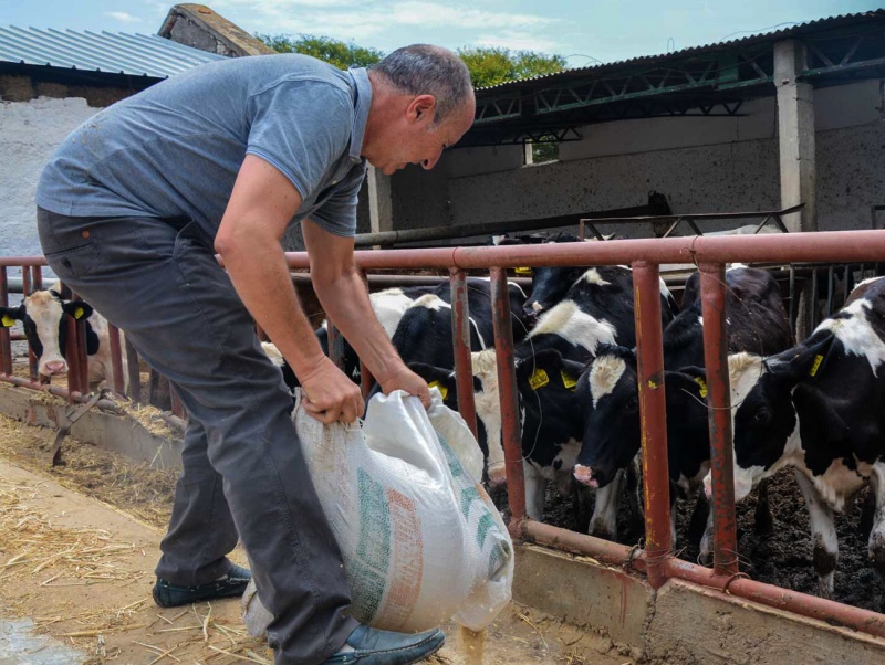 Les rentiers ruinent le secteur laitier