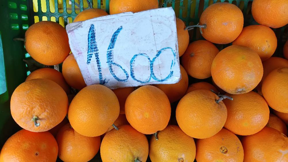 Sousse: Prix ​​de légumes et fruits au marché municipal (Photos)